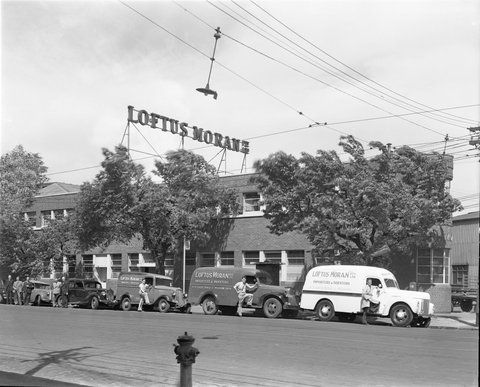 Delivery vans parked outside Loftus Moran P/L, importers and indenters, 4-10 Queens Bridge St., South Melbourne, 1947