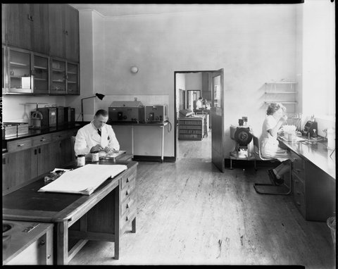 Hospital laboratory showing people working at benches, Royal Melbourne Hospital, 1945