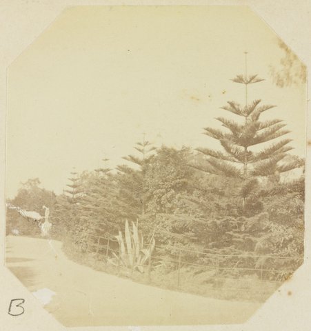 Fitzroy Gardens. Melbourne, 1873–82