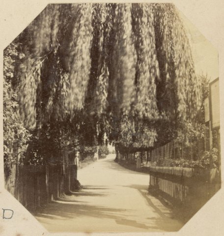 Fitzroy Gardens. Melbourne, 1873–82