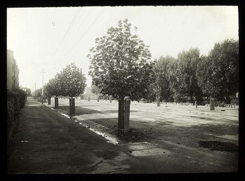 Grey Street, East Melbourne, c. 1910