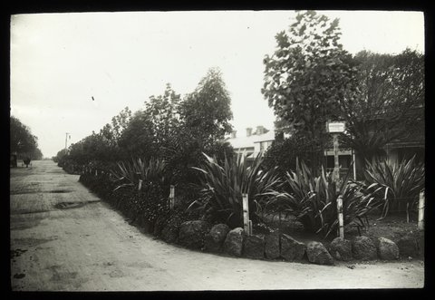 Peel Street, North Melbourne street reserve, c. 1910