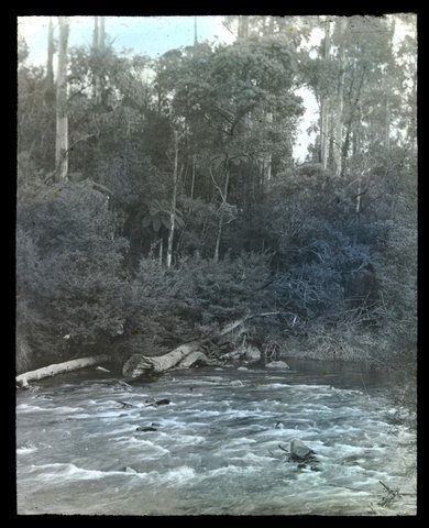 Rapids, Yarra River, 1920–35