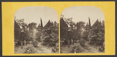 View inside the cemetery, Melbourne, 1870