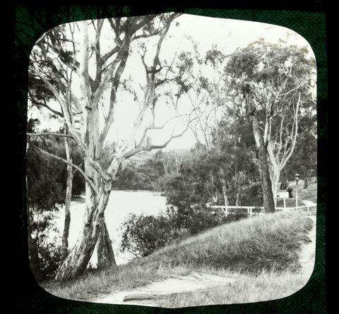 Path on the banks of the Yarra River, Victoria, 1909