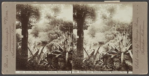 Rustic Bridge, Botanical Gardens, Melbourne, Vic, 1890–1900