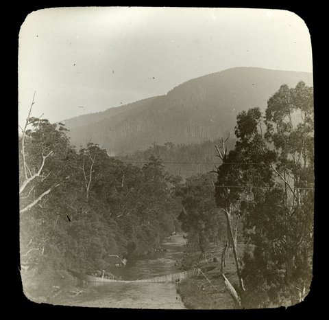 Collapsed footbridge, Yarra River in country Victoria, 1909