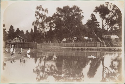 General View at 'Melbourne Zoo', 1892–1900