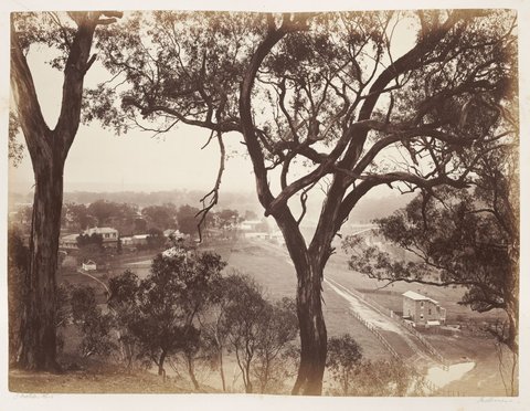 View in Studley Park, 1870–80