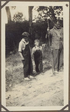 Characteristic of thousands of acres between Orbost and Melbourne (Victoria), 1927
