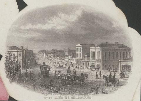 The Melbourne Rose, c. 1863