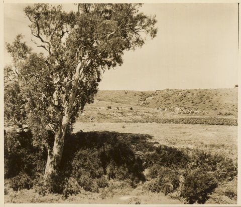 "Keilor, near Maribyrnong River, Vict.", 1950?