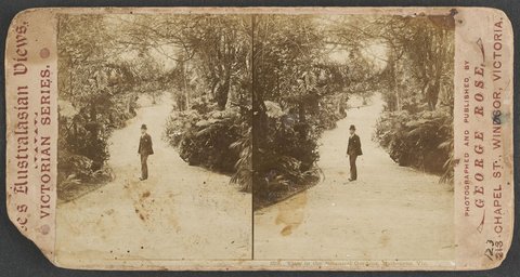 View in the Botanical Gardens, Melbourne, Vic, 1890–1900