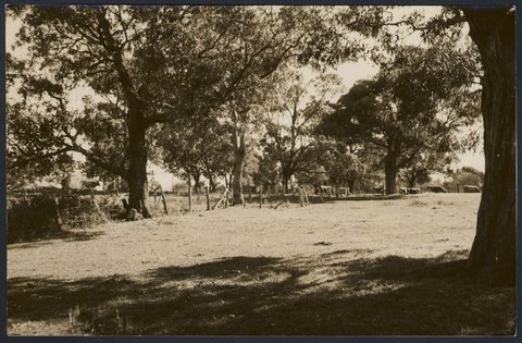 Ringwood, Melbourne, Vic, 1950?