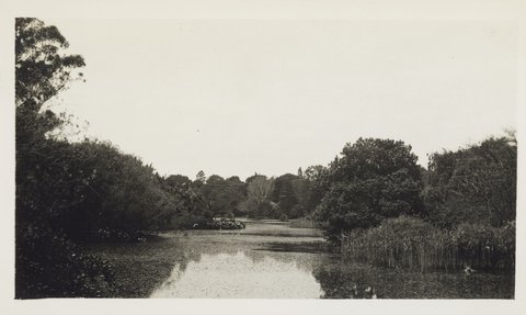 "Botanical Gardens, Melbourne", 1930s
