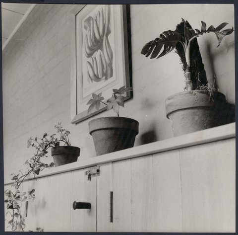 24 Hill Street, Toorak, 1952–53