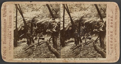At the Well, Dandenong Ranges, Vic, 1890–1900