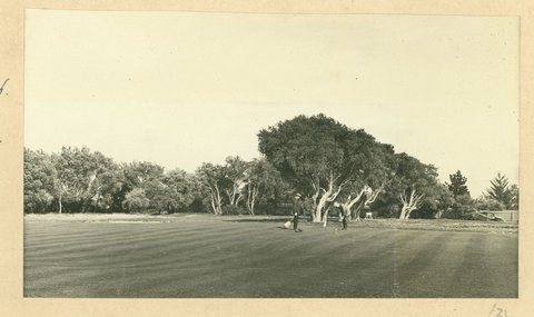 "Mixed foursome once a month on Thursdays, Royal Melbourne Golf Club, Sandringham, Vic.", 1909