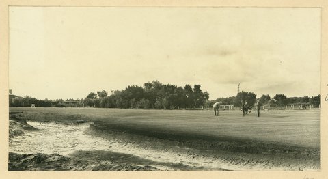 Royal Melbourne Golf Club, Sandringham, Vic, 1909