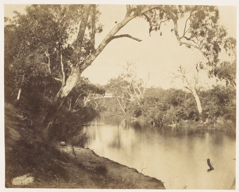 The Yarra near Studley Park, c. 1858