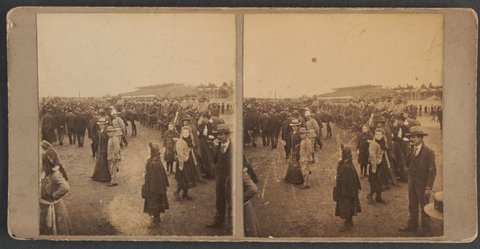 Flemington Review, c. 1900