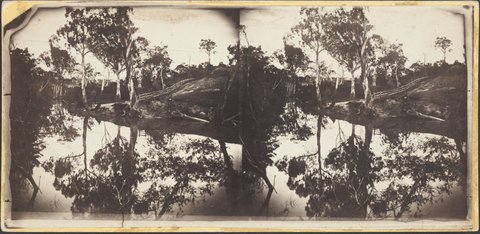 View on the Yarra River near Melbourne, 1855–1910