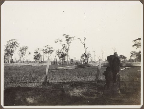 Characteristic of thousands of acres between Orbost and Melbourne (Victoria), 1927
