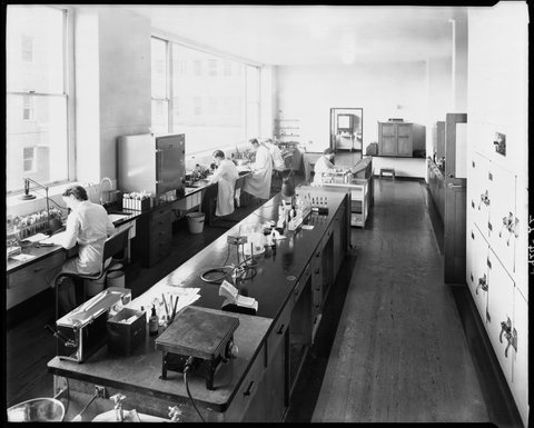 Hospital laboratory, Royal Melbourne Hospital, 1945