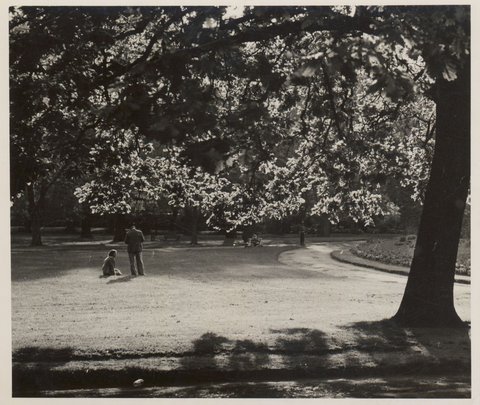 Glimpse of the Fitzroy Gardens, 1950?