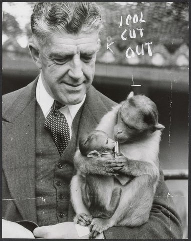 Chimpanzees and other primates at Melbourne Zoo, 1929–50