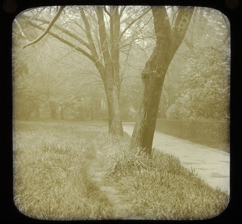 In Fitzroy Gardens, Melb. [i.e. Melbourne], 1890–1938