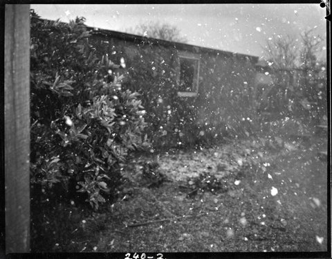 Snowfall in suburban Melbourne. Home of Alan Cannon, Caulfield, Melbourne, 1951