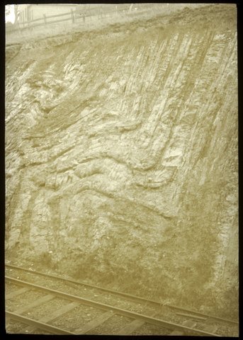 Monoclinical fold in Silurian strata at Heyington Toorak Hill, Melbourne, 1875–1938