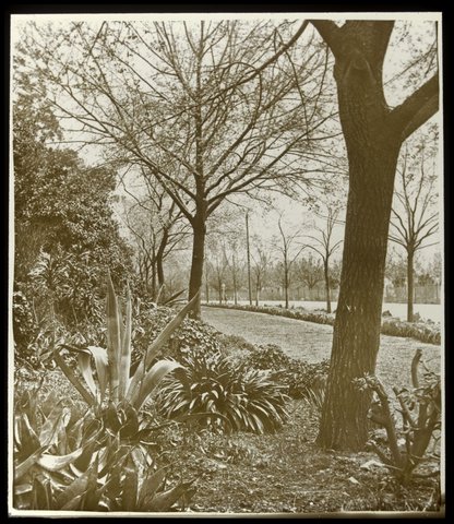 Alexandra Avenue, Melbourne, 1875–1938