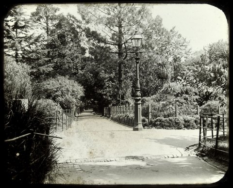 "Fitzroy Gardens, Melbourne", c. 1900