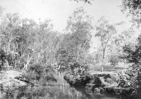 A Creek about 15 miles from Melbourne, c. 1895