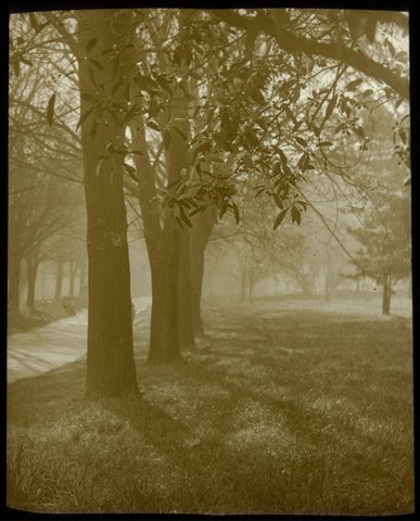 Fitzroy Gardens Melb. [i.e. Melbourne], 1875–1938