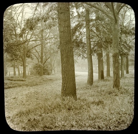 Fitzroy Gardens, Melb. i.e. Melbourne, 1875–1938