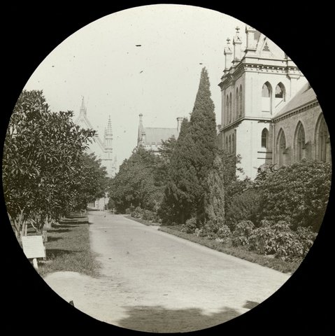 University Melbourne, 1890–1930