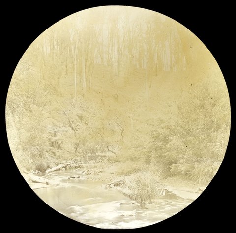 Yarra River near it's source, country Victoria, 1909