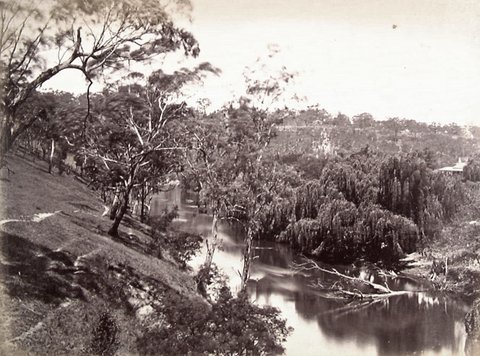 View on the Yarra at Abbotsford, 1870–80