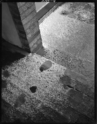 Snowfall in suburban Melbourne. Home of Alan Cannon, Caulfield, Melbourne, 1951