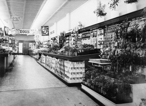 View of gardening section in Coles Box Hill Store No. 44, 1954