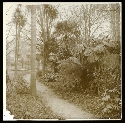 Fitzroy Gardens, Melbourne, 1875–1938