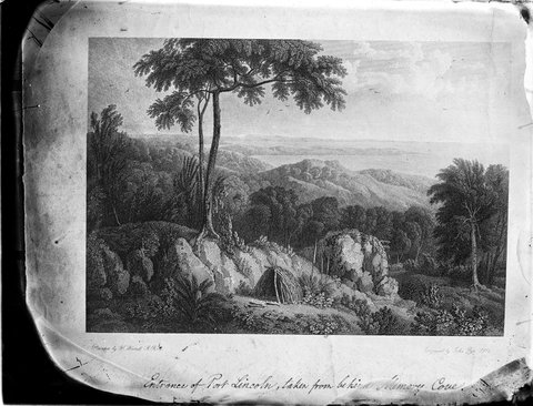 Glass plate negatives from Shillinglaw Esq. the Australasian Office Melbourne, 1850