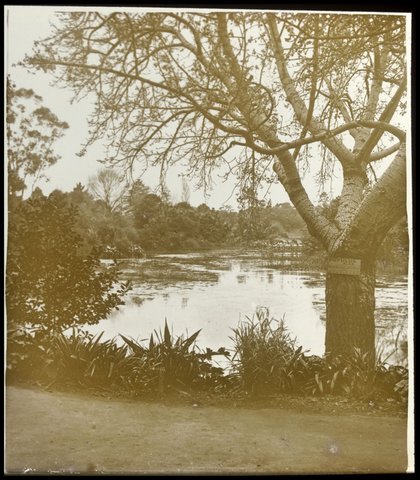 Lake in Melbourne Botanical Gardens, 1875–1938