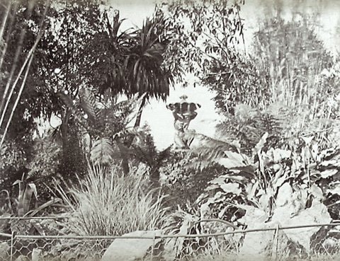 The Neptune fountain in the Fitzroy Gardens, 1870–80