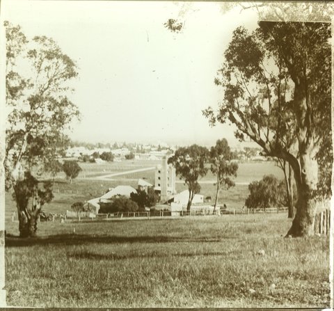 View across paddocks, possibly at Studley Park, 1880–1938