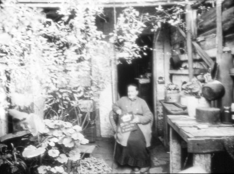 Melbourne. Elderly woman in a garden setting, c. 1935