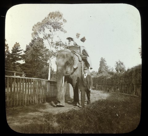 At the zoo. Melb. [i.e. Melbourne], 1875–1938